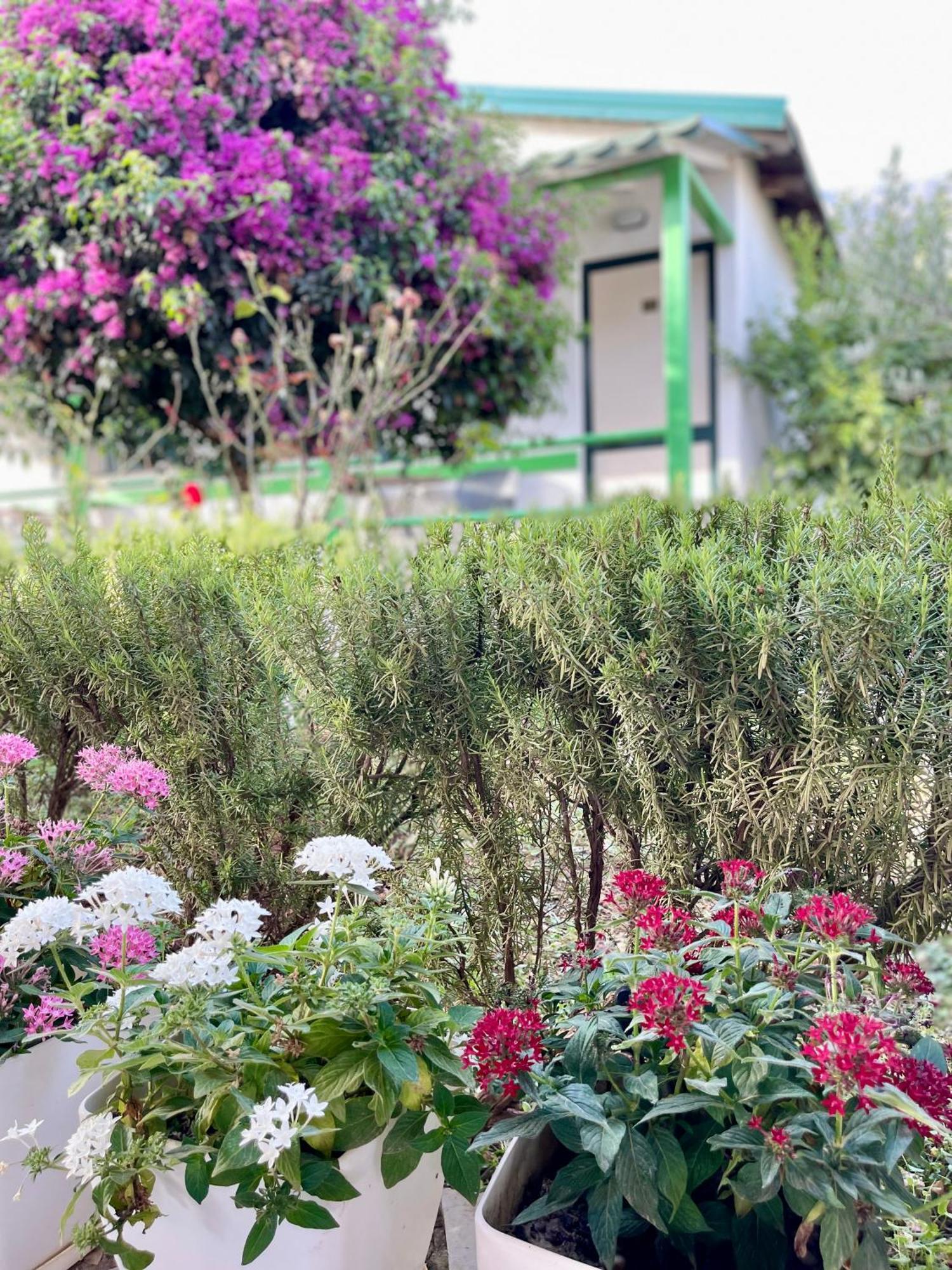 Chalet Ambel Dhërmi Εξωτερικό φωτογραφία