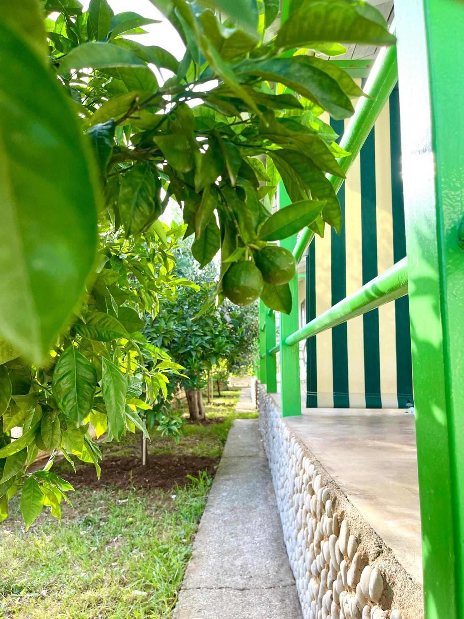 Chalet Ambel Dhërmi Εξωτερικό φωτογραφία