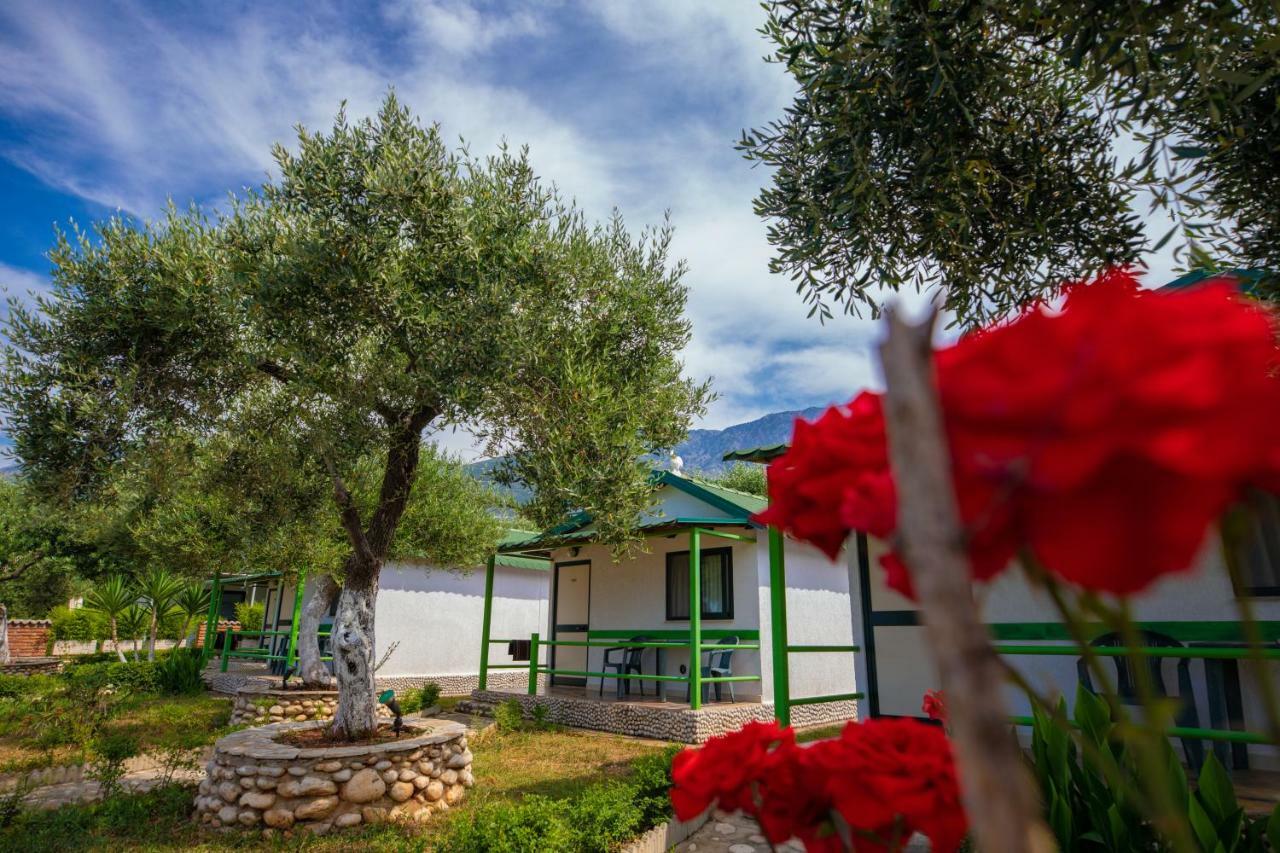 Chalet Ambel Dhërmi Εξωτερικό φωτογραφία